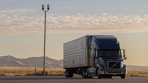 FCL & LCL Consignment Services